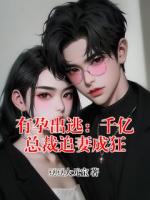 有孕出逃：千亿总裁追妻成狂