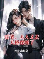 霍爷，夫人又去天桥摆摊了