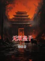 无双皇子