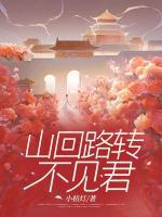山回路转不见君
