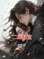 二嫁权宦