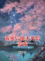 我死后他才开始爱我