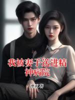 我被妻子送进精神病院