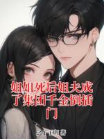 姐姐死后姐夫成了集团千金倒插门