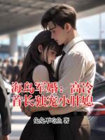 海岛军婚：高冷首长独宠小胖媳
