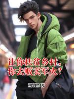 让你扶贫乡村，你去贩卖军火？