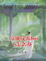穿成反派boss怎么办