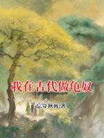 我在古代做龟奴
