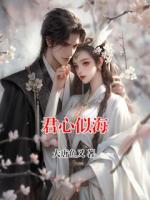 君心似海