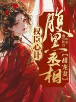 权臣心计：腹黑丞相甜宠妻