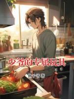 少爷的专属玩具