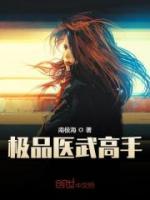 极品医武高手