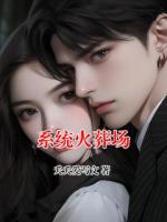 系统火葬场