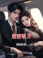 萧萧筝月