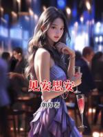 见安思安