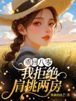 重回八零，我拒绝肩挑两房