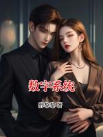 数字系统