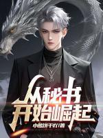 从秘书开始崛起