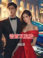 错撩双胞胎