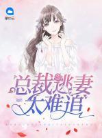 总裁逃妻太难追