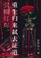 引魂灯烬，重生归来弑夫证道