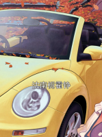 沈南栀霍铮