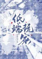 低端玩家