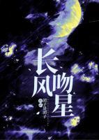长风吻星