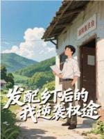发配乡下后的我逆袭权途