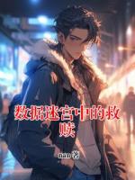 数据迷宫中的救赎