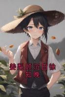 姜梨顾沉白徐知晚