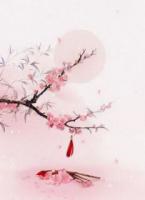 太子转盘选妃，我果断拿走我的号码牌