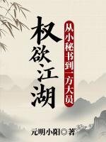 权欲江湖：从小秘书到一方大员