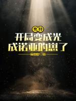 奥特：开局变成光，成诺亚的崽了