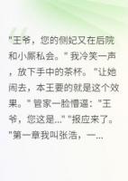 穿越王爷的情感日常