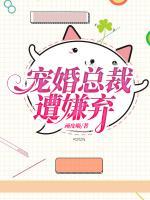 宠婚总裁遭嫌弃