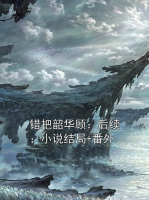 错把韶华顾：后续：小说结局+番外