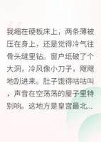 在皇宫里开小卖部