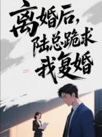 离婚后陆总跪求我复婚