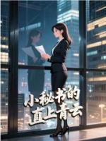 小秘书的直上青云