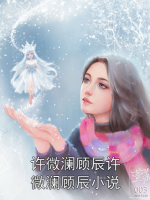 许微澜顾辰许微澜顾辰小说