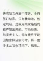 成婚三年，婆母指我肚子骂我荒田