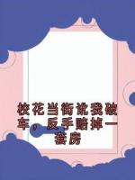 校花当街讹我破车，反手赔掉一套房