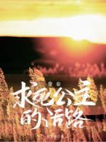 穿秦：求死公主的活路