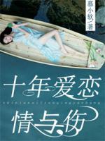 十年爱恋情与伤