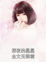 深夜的星星全文无弹窗