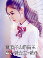 雪落千山暴雨无声小说全文+番外