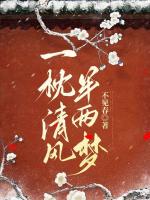 一枕清风半两梦