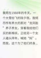 七零技术流：两脚羊养子别沾边