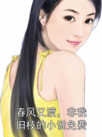 春风又渡，非我旧枝的小说免费
